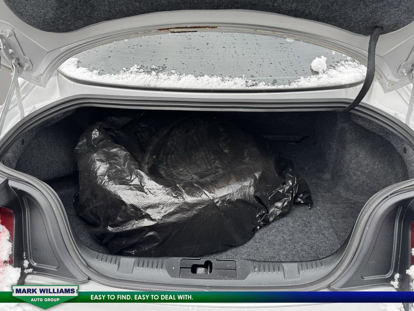 2015 Ford Mustang V6