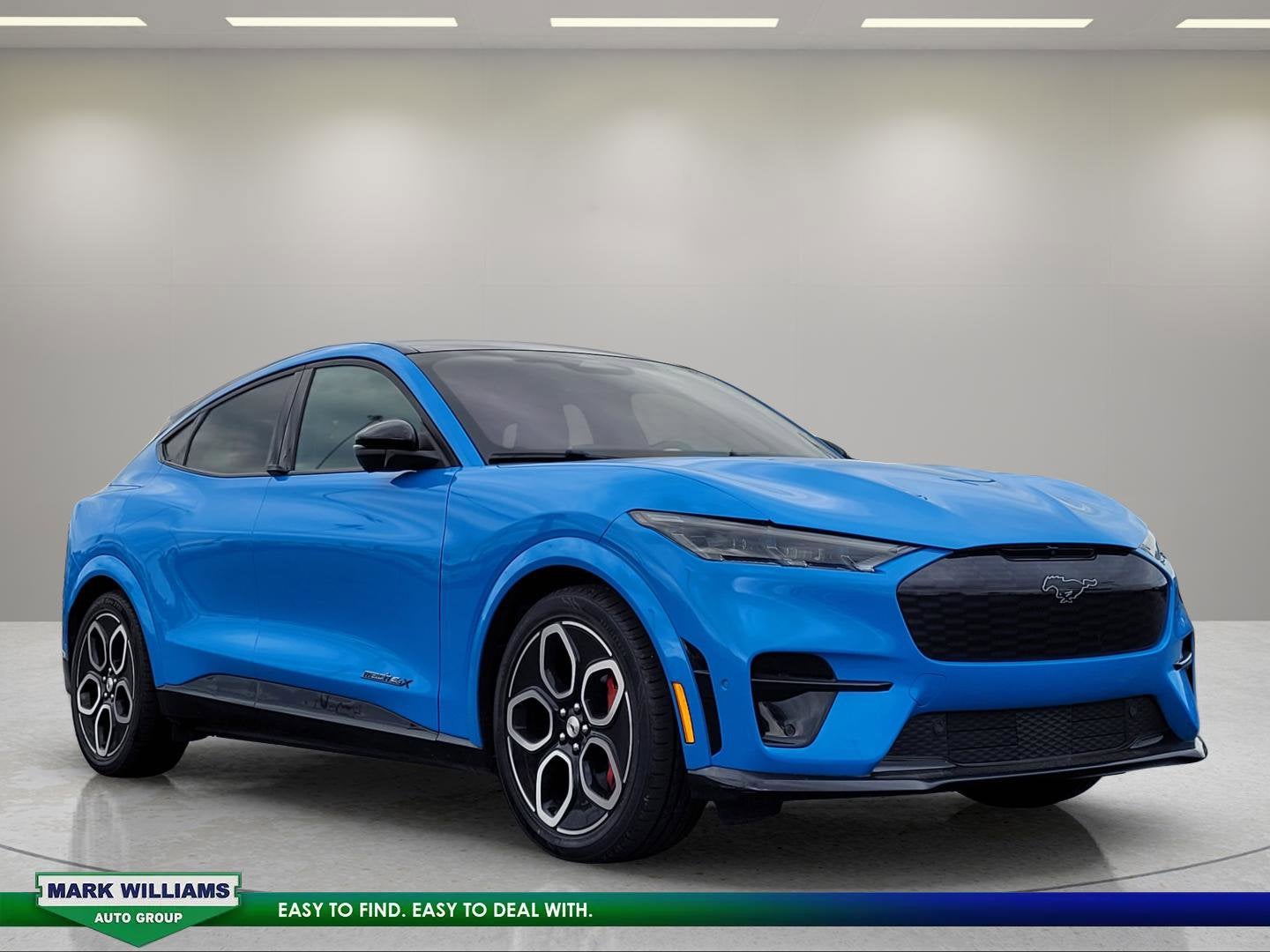 2023 Ford Mustang-Mach-e GT's photo