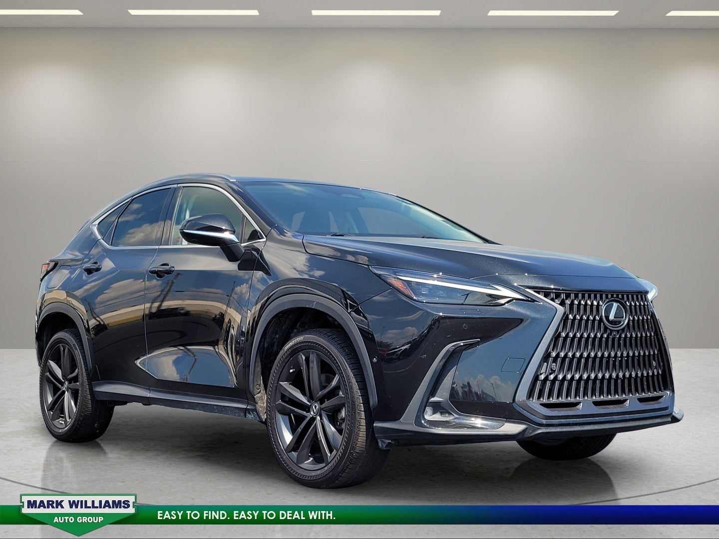 2022 Lexus NX 450h+ Luxury